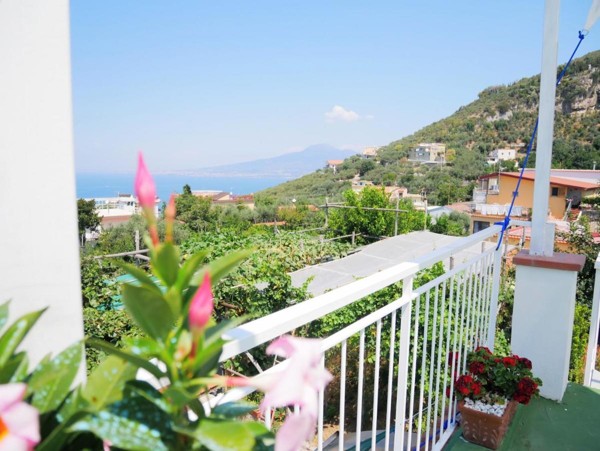 Olindo Apartment E Cristina Apartments 维克艾库塞 外观 照片