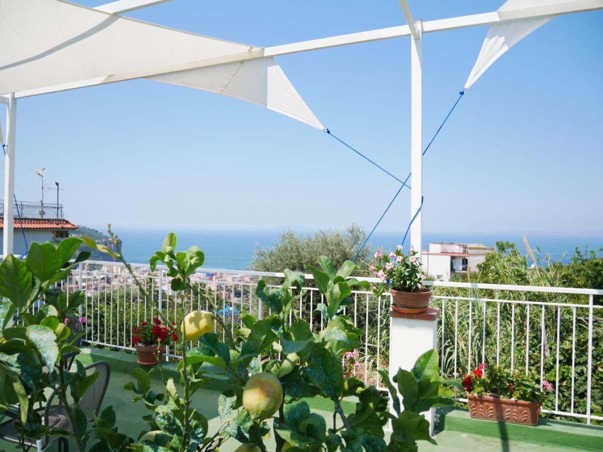 Olindo Apartment E Cristina Apartments 维克艾库塞 外观 照片